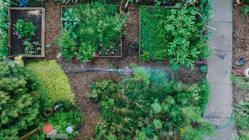 Rooted in Stillness: What Europe's Ancient Kitchen Gardens Teach Americans About Healing Through the Soil