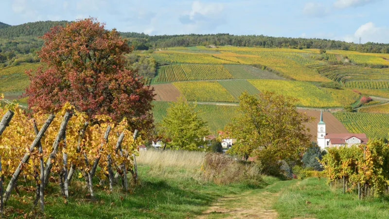 Yielding to the Year: What Europe's Seasonal Rhythms Can Teach Americans About Living in Time